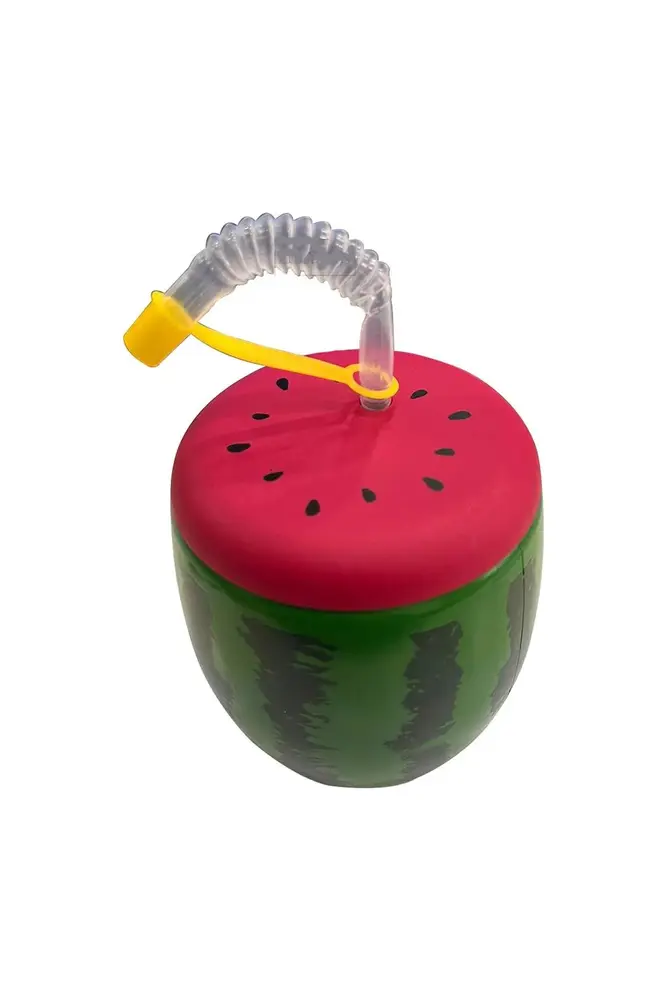 Karpuz Tasarımlı Pipetli Suluk 900 ML 2