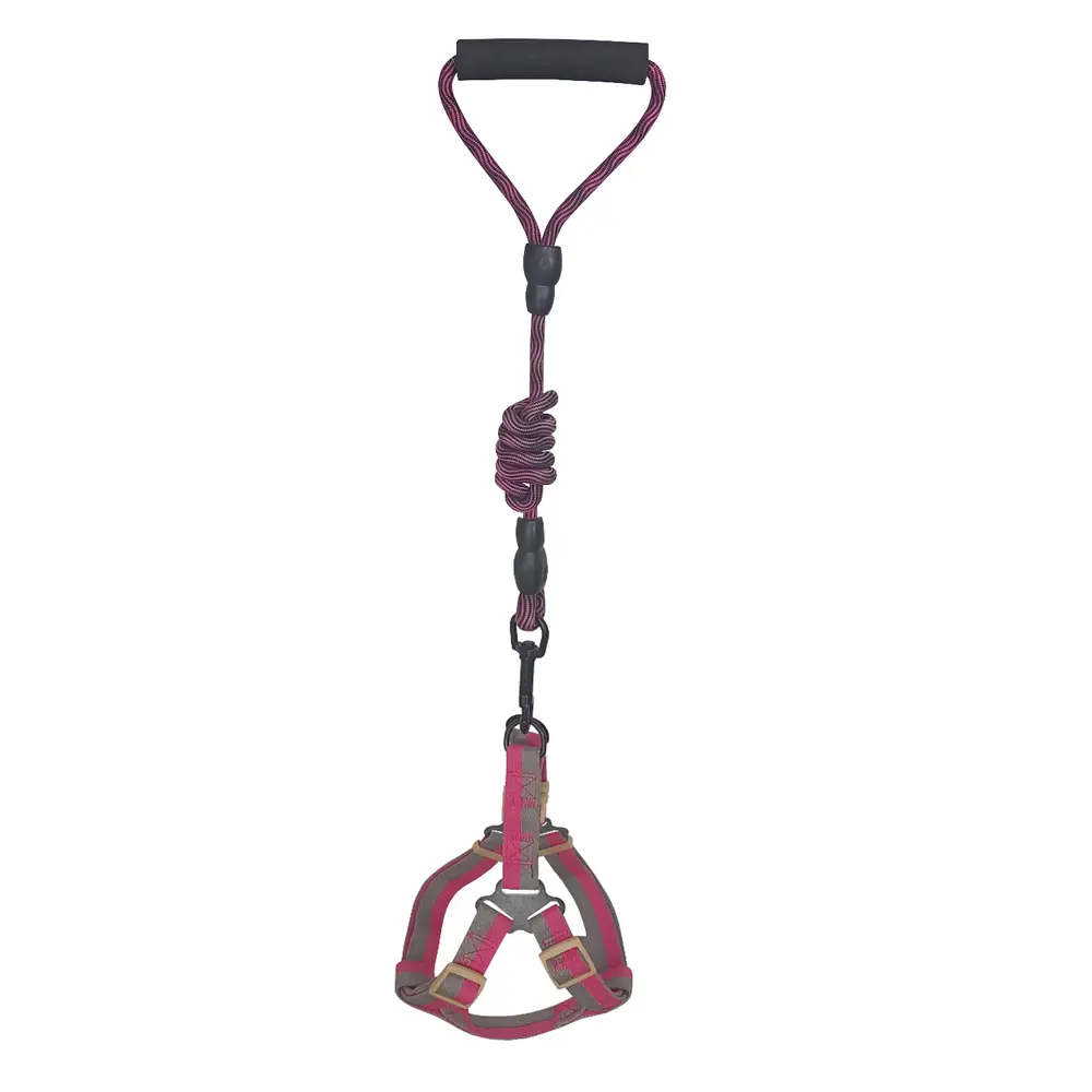 Köpek Göğüs Tasma Seti Daa Desenli 2 cm*40-58 cm Mor-Pembe 5