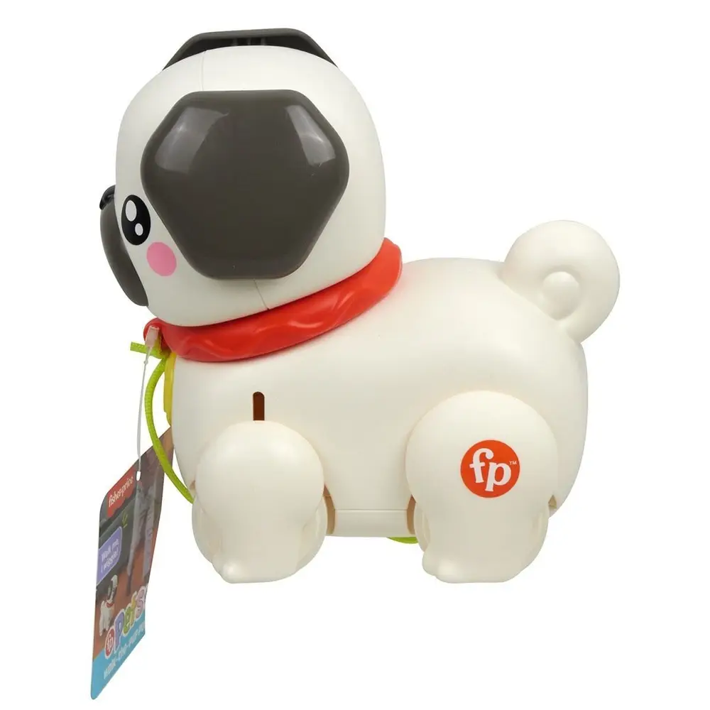 HTW94 Fisher-Price Minik Dostumla Yürüyüş 2