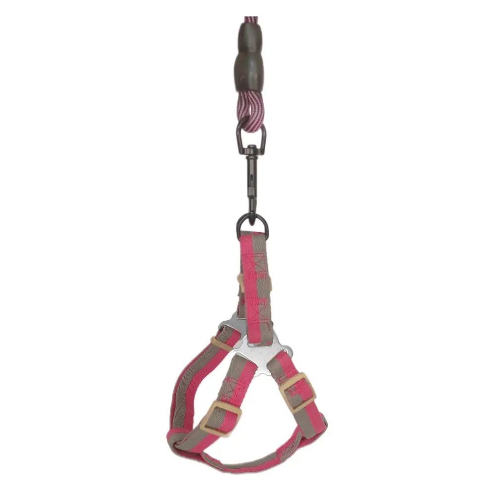 Köpek Göğüs Tasma Seti Daa Desenli 2 cm*40-58 cm Mor-Pembe 4