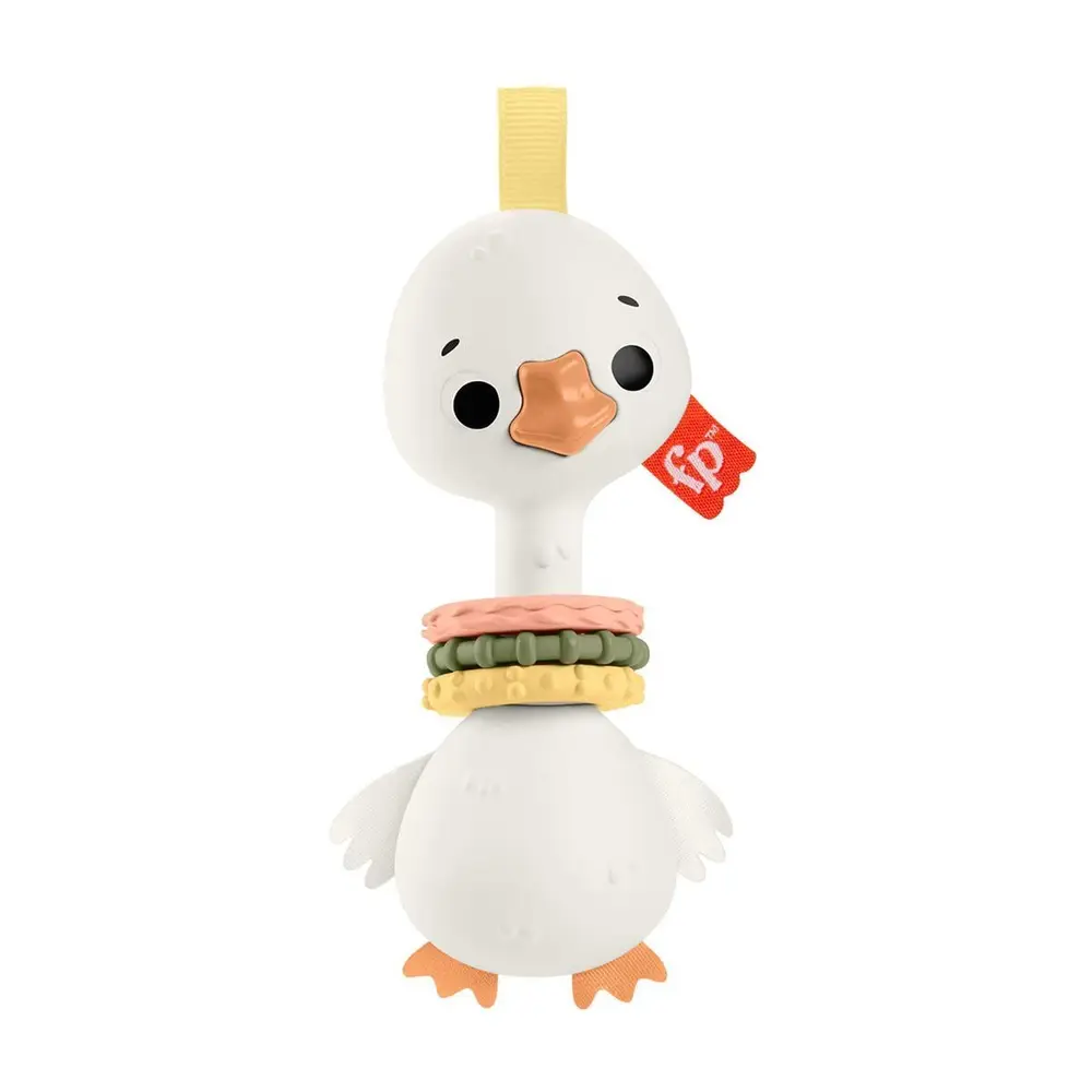 HRB19 Fisher-Price Sensimals Dişlik Seti 3