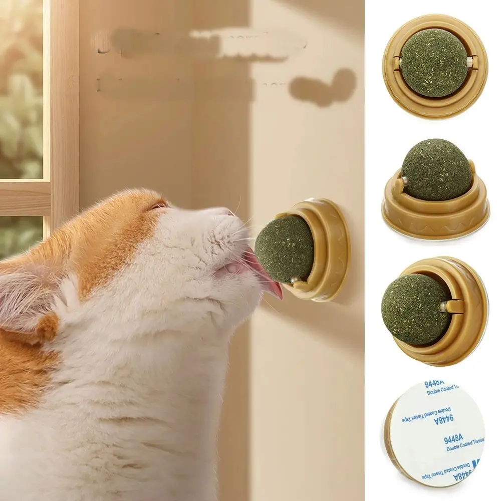 Duvara Yapışan Dönen Kedi Nanesi Cat Oyun Topu Doğal Kedi Oyuncağı 2