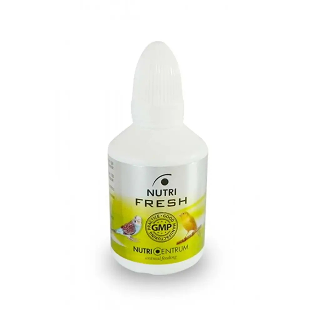 Muhabbet Kuşu İçin Destek - Fresh