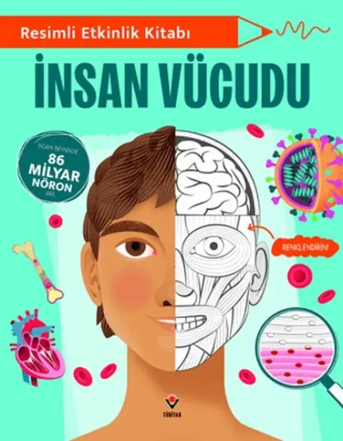 li Etkinlik Kitabı - İnsan Vücudu
