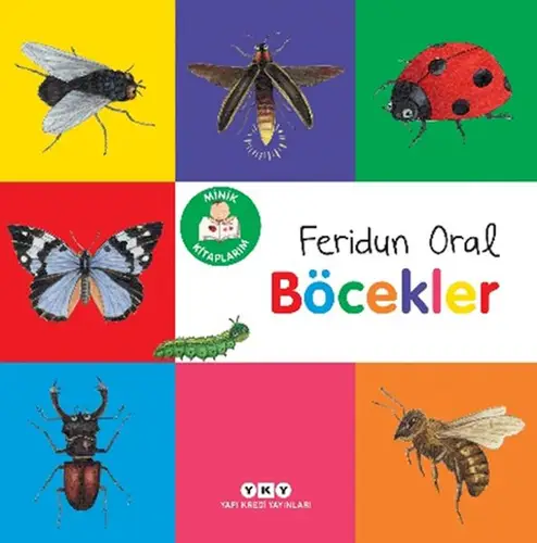 Minik larım – Böcekler