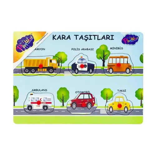 147/148 AHŞAP TUTMALI KARA VE HA TAŞITLARI