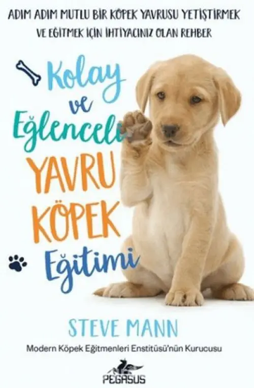 Kolay ve Eğlenceli Yru Köpek Eğitimi