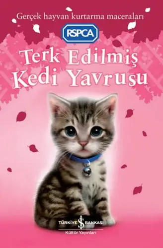 Terk Edilmiş Kedi Yrusu