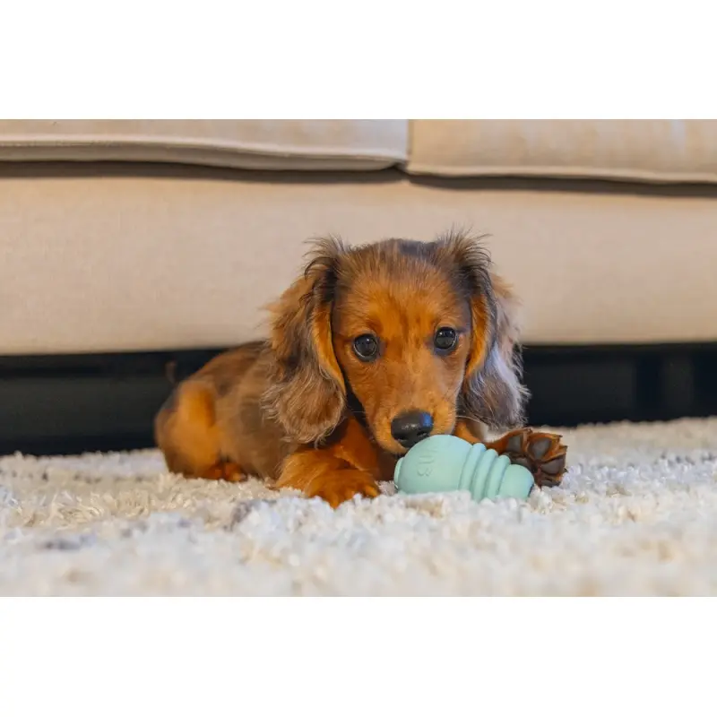 Yru Köpek Sumo Mını Dental Oyuncak Xs 3-6 kg 3
