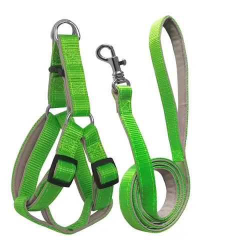 Gezdirme Kayışlı Dokuma Köpek Göğüs Tasma Seti 32*47-110 cm Neon Yeşil