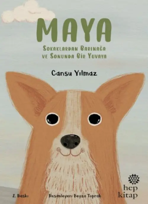 Maya - Sokaklardan Barınağa ve Sonunda Bir Yuvaya