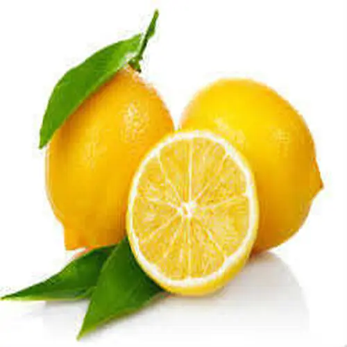 Limon Bonesi / 100 Adet / Çayı Bonesi 2