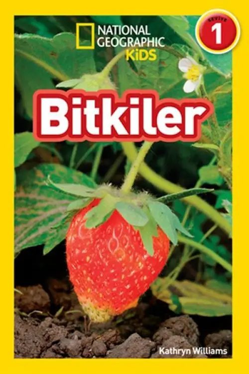 Kids - ler - Seviye 1