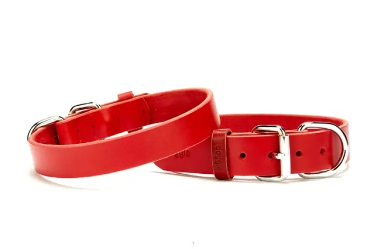 Deri El Yapımı Köpek Boyun Tasması 1,5x32-37 cm Kırmızı