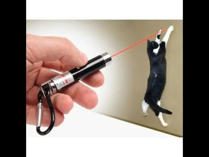 4 Yedek Başlıklı Pilli Kedi Oyuncağı Lazer Anahtarlık 2