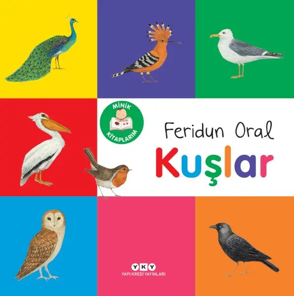 Minik larım – Kuşlar