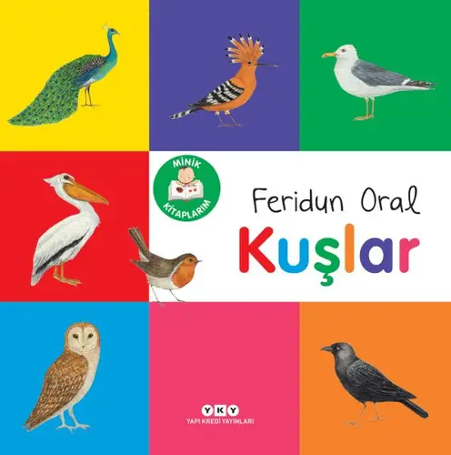 Minik larım – Kuşlar