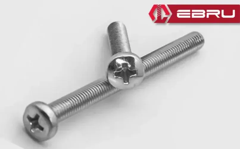 Ebru Yuvarlak Yıldız Başlı YSB Civata M6x70 - 100 Adet