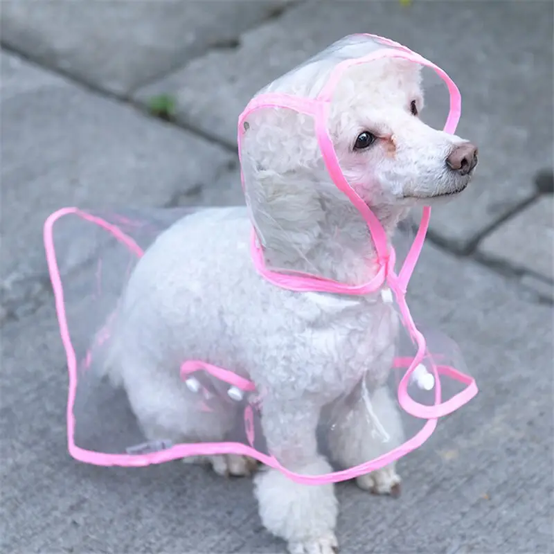 Köpek Yağmurluğu -Sarı - (X Small) 3