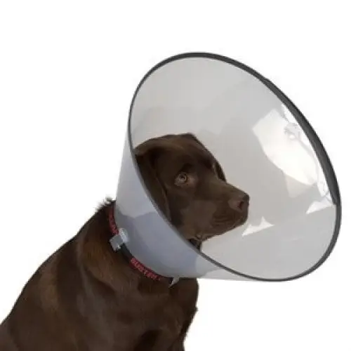 Kedi Köpek Yakalığı 10 cm 4
