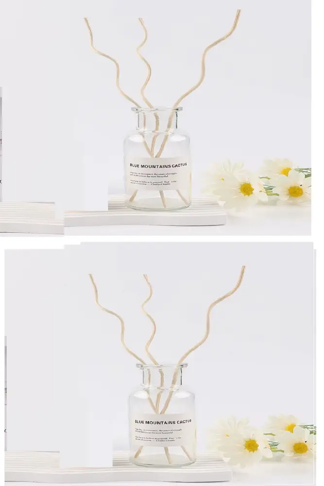 3 Tek Adet 3 Model Aromaterapi Koku Dağıtıcı Rattan Şişe Ahşap Difüzör Çubuk (-Yaprak-Daalı) 2