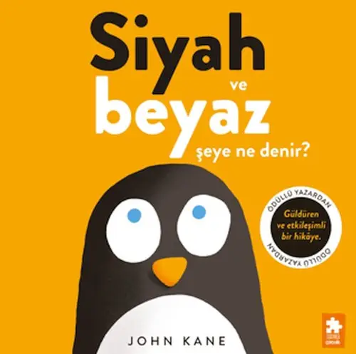 Siyah ve Beyaz Şeye Ne Denir?