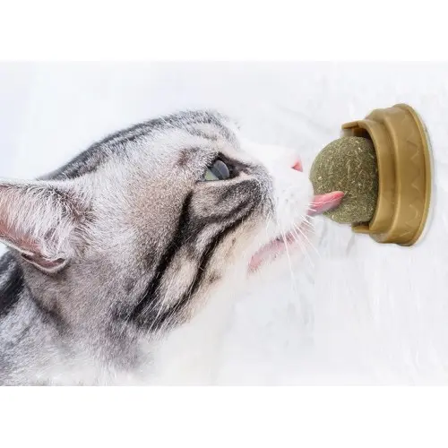 Kedi Nanesi Oyun Topu 3