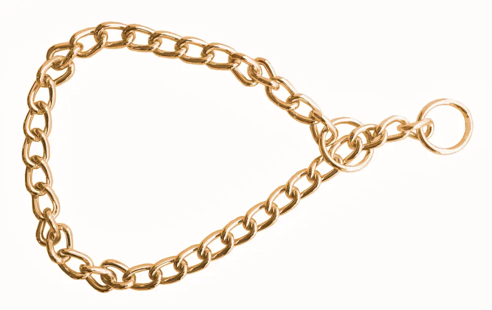 Eğitim Serisi Zincirli Köpek Boyun Tasması 3,5x55 cm - Gold 3