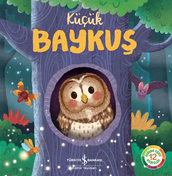 Küçük Baykuş - Doğanın Eşsiz Hikayeleri 12