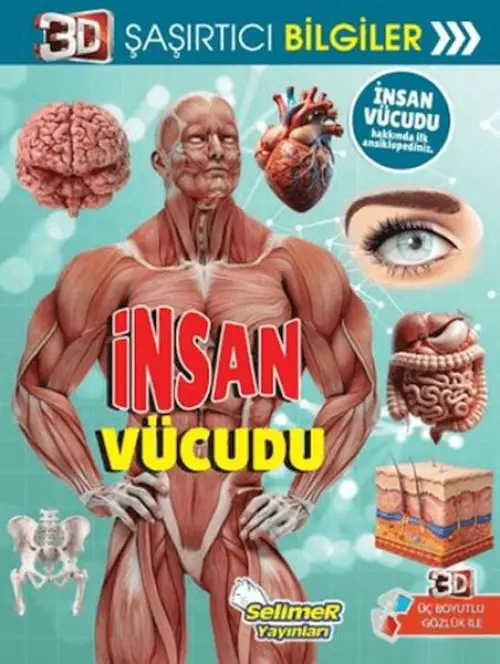 3D Şaşırtıcı Biiler - İnsan Vücudu