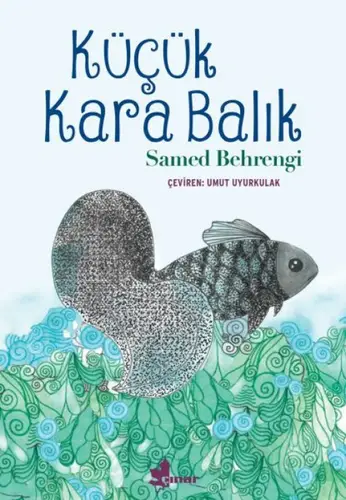 Küçük Kara Balık