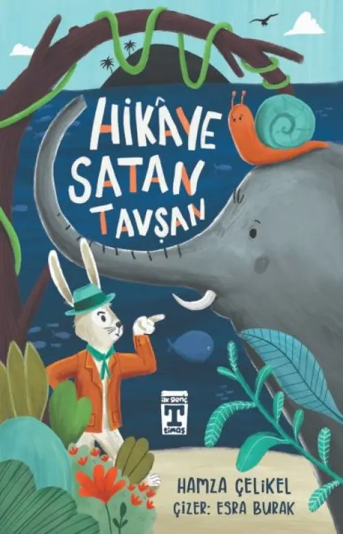 Hikaye  Tşan