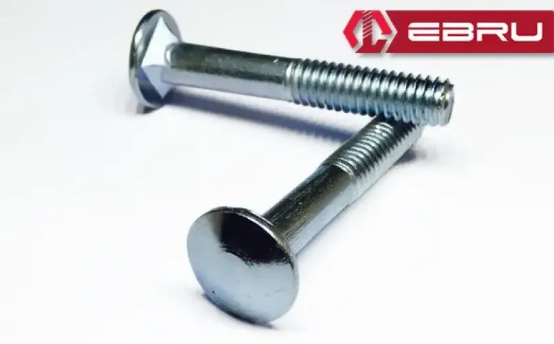Ebru Kasa Civata 1/4x35 - 20 Adet