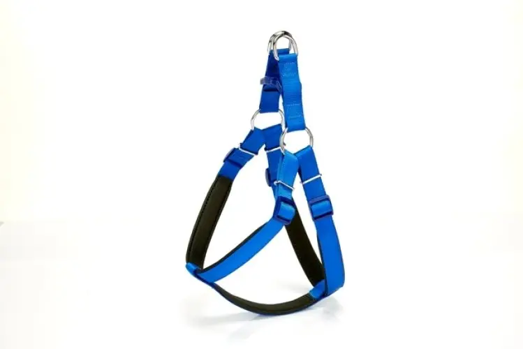 Köpek Bel Tasması 85 cm Mi