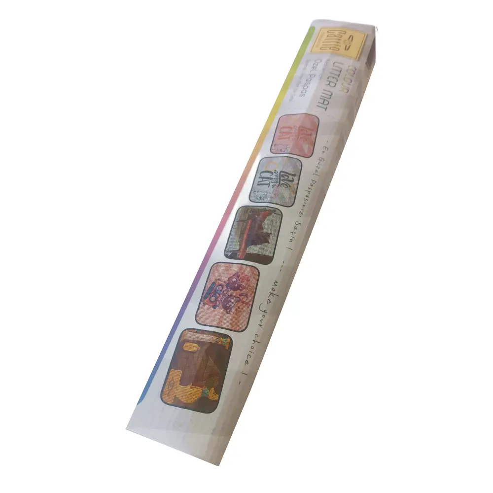 Kum Toplayıcı Fonksiyonel Renkli Kedi Paspası 45 x 60 cm 4
