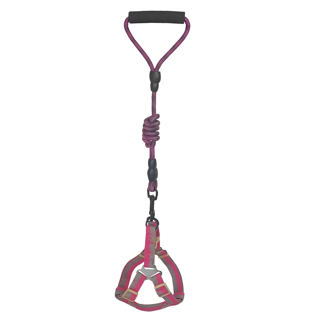 Köpek Göğüs Tasma Seti Daa Desenli 2 cm*40-58 cm Mor-Pembe