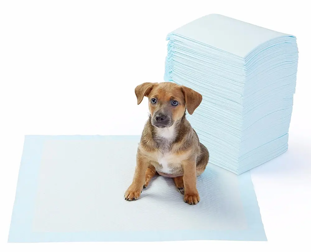 Yıkanabilir Köpek Çiş Pedi - 100 X 100 Cm 5li Paket 3