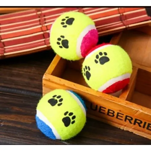 At Getir Köpek Eğitim Topu 2