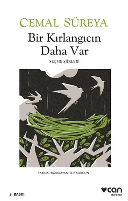 Bir Kırlangıcın Daha Var