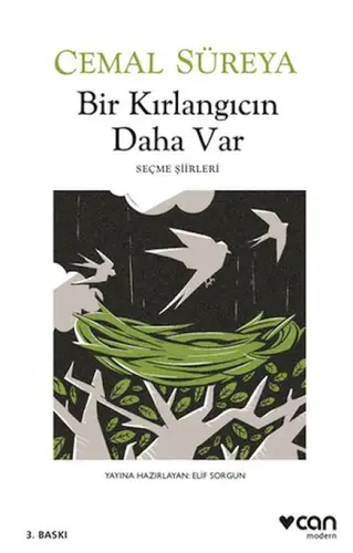 Bir Kırlangıcın Daha Var