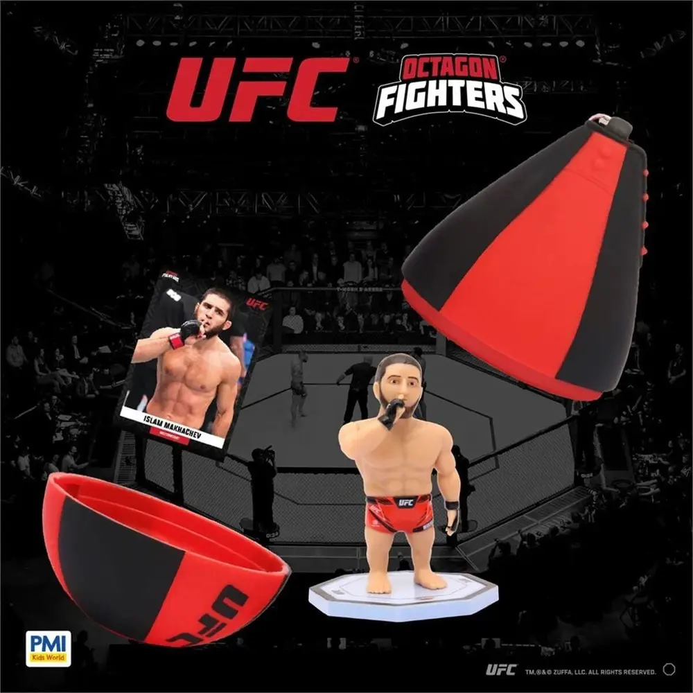 PMI/UFC2009 5