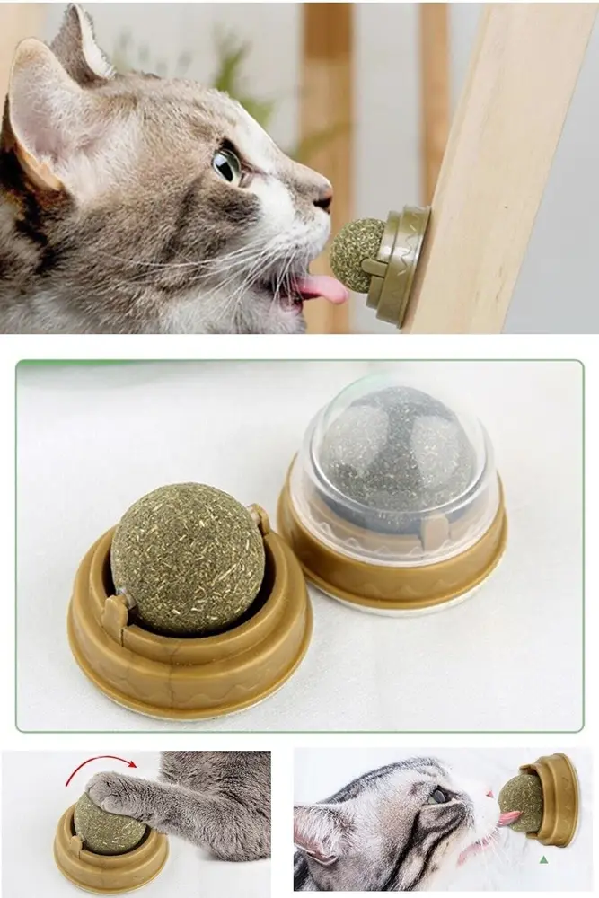 Duvara Yapışan Dönen Kedi Nanesi Cat Oyun Topu Doğal Kedi Oyuncağı 4