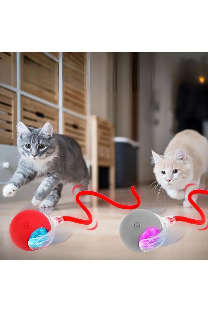 Hareketli Şarjlı Işıklı 360 Derece Dönen Akıllı Oyun Topu Kuyruklu İnteraktif Kedi Köpek Oyun Topu 4
