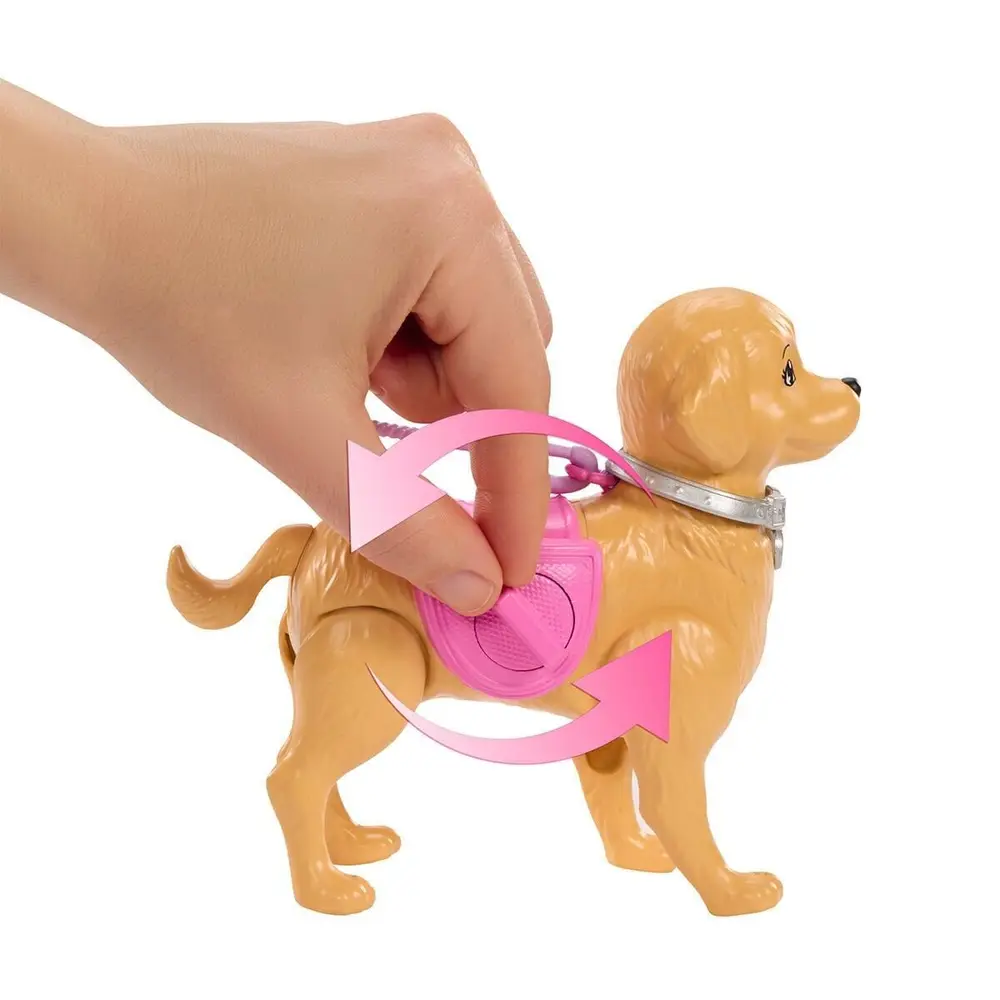 JJB46  ve Köpekçiğin Yürüyüş Zamanı 4