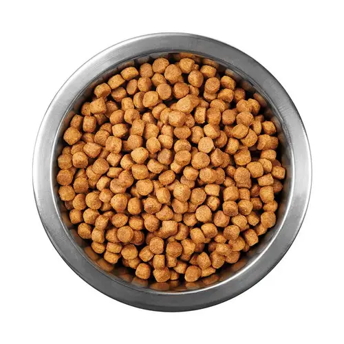 Tuklu Yetişkin Kedi sı 1 kg