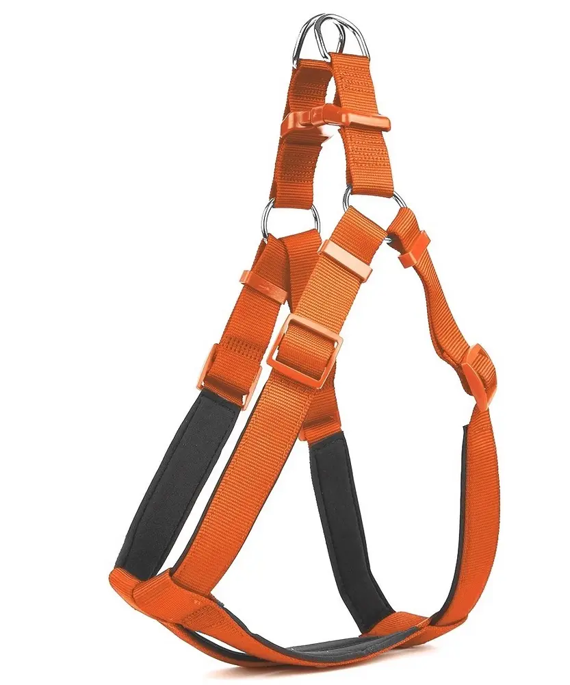 Köpek Bel Tasması 95cm XX-Large Tcu