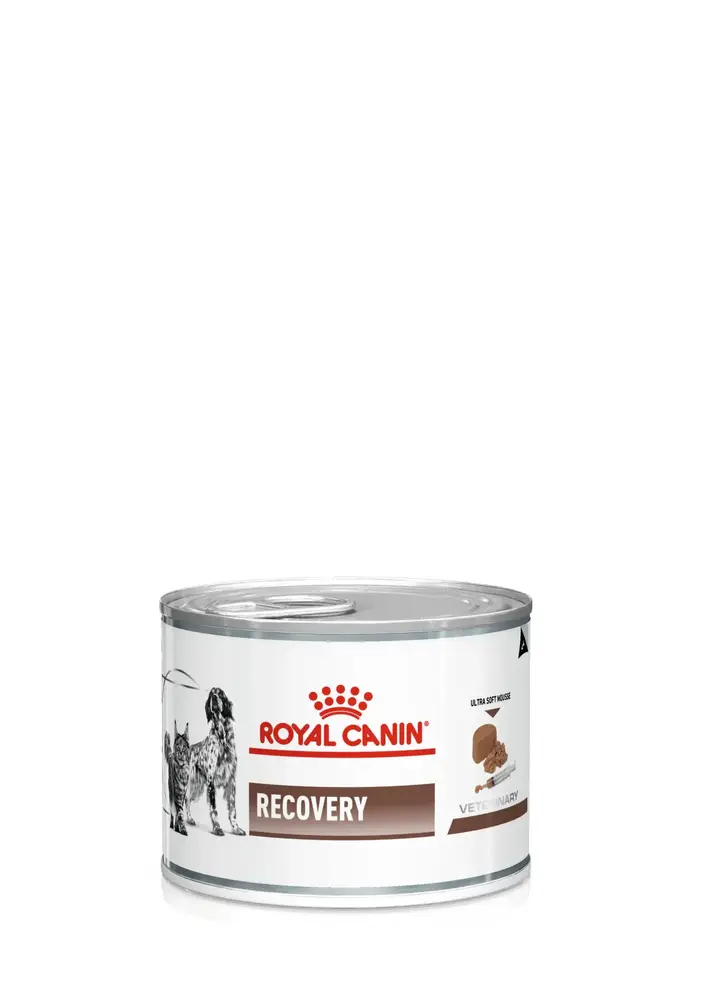 Recovery Kedi & Köpek sı 195gr Kedi ve Köpekler İçin Beslenme Desteği