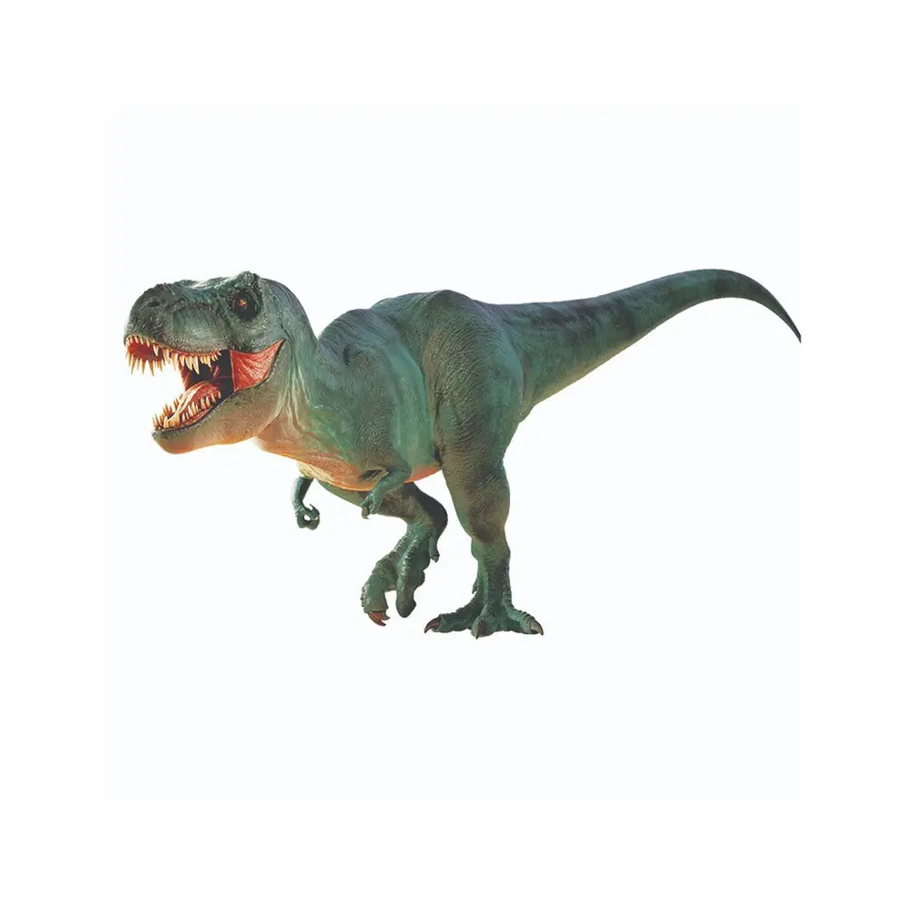 NAT06002 Dino Kazı Kiti - RTNGDINO2 +8 yaş 3