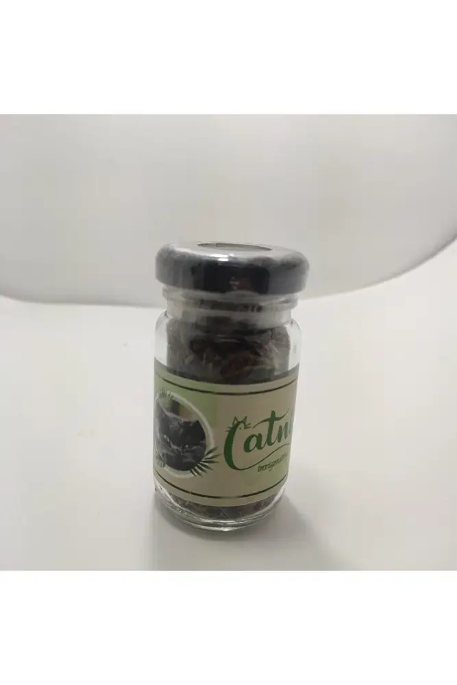 Catnip Doğal Kedi Otu - Kedi Nanesi 4