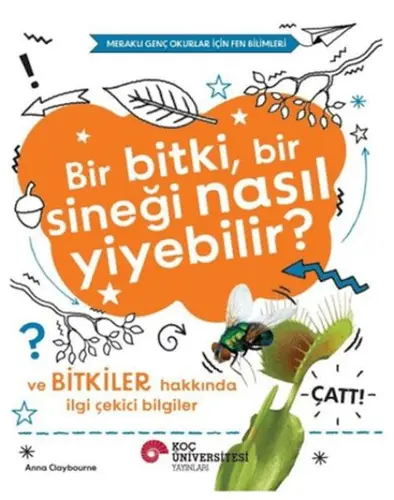 Bir , Bir Sineği Nasıl Yiyebilir? ve ler Hakkında İi Çekici Biiler